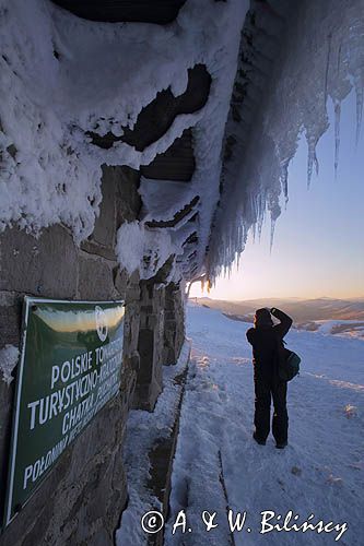 Schronisko Chatka Puchatka, Połonina Wetlińska, Bieszczady
