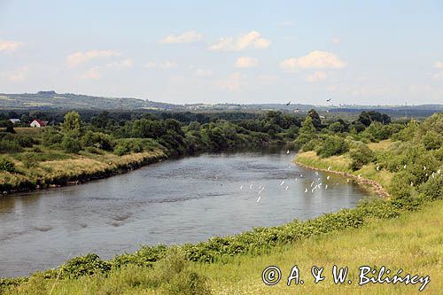Rzeka Wisła w Smolicach, Małopolska