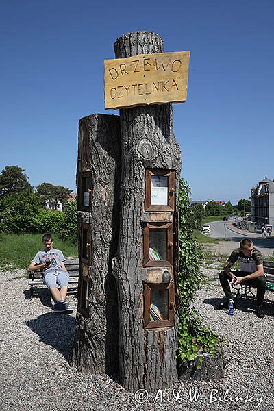 Władysławowo, drzewo czytelnika, terenowa biblioteczka