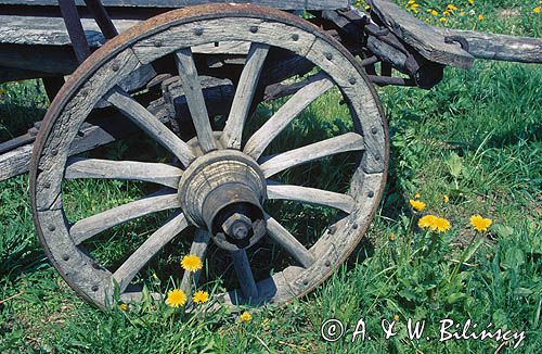 Koło od wozu