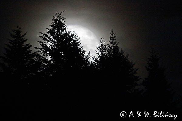 Wschód superksiężyca 15.11.2016