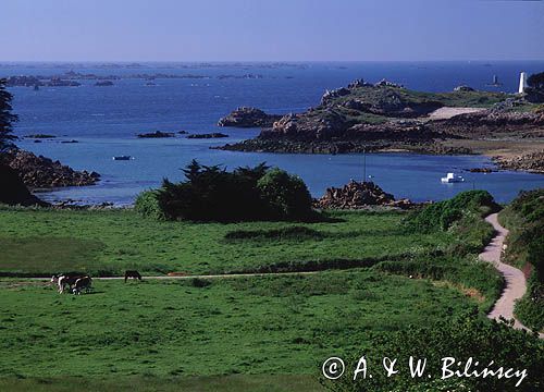 Wyspa Brehat, Bretania, Francja, Ile de Brehat)