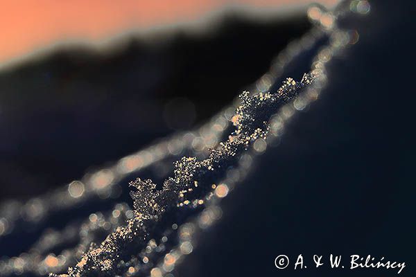 zima, śnieg, odwilż