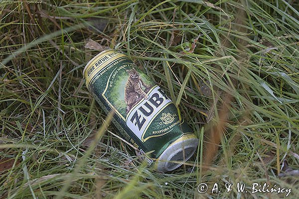 Śmieci, puszka, żubr z rysiem