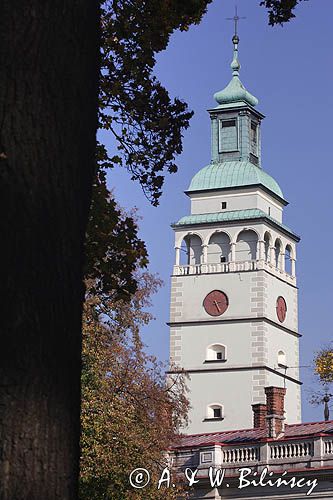 żywiec, wieża Konkatedry Narodzenia NMP