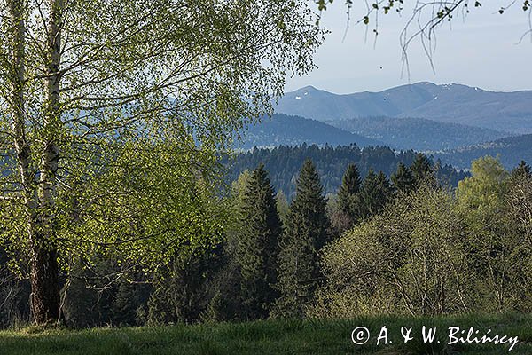 Widok z Żurawina na Połoniny, Bieszczady