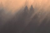 smugi mgły i światła nad lasem, Bieszczady