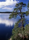 Szkiery szwedzkie, zatoka Dyviken na wyspie Orno, okolice Nynashamn, archipelag sztokholmski, Szwecja